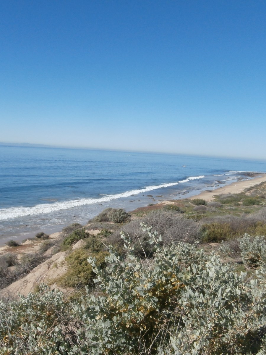 Crystal Cove Beach,&nbsp;California