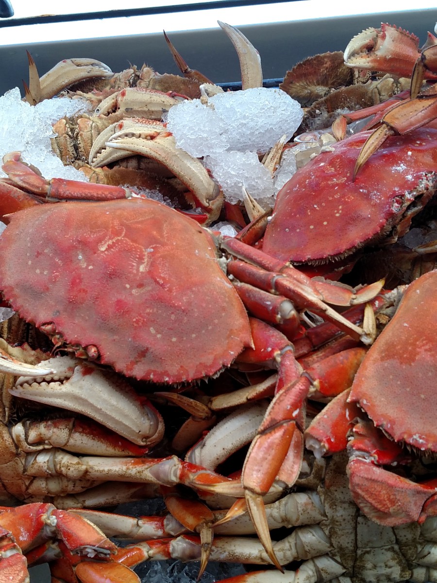 Fisherman’s Wharf – San Francisco&nbsp;California