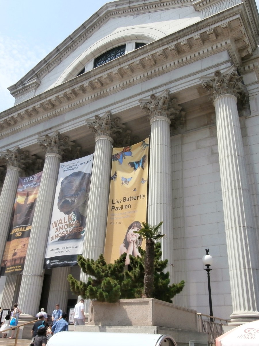 Smithsonian Institution – Museum of Natural History – Washington&nbsp;DC