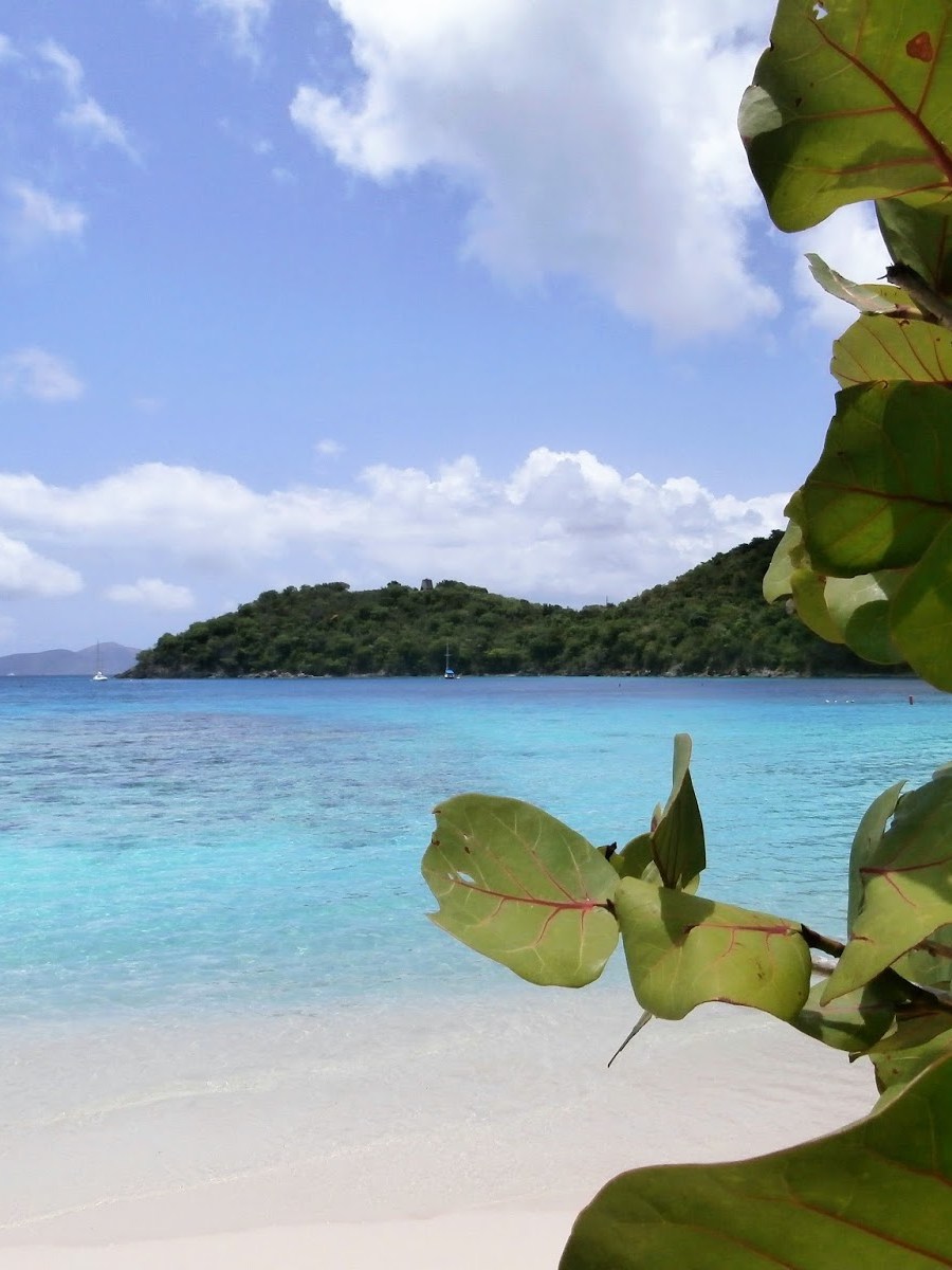 Hawksnest Beach – St John, US Virgin&nbsp;Islands